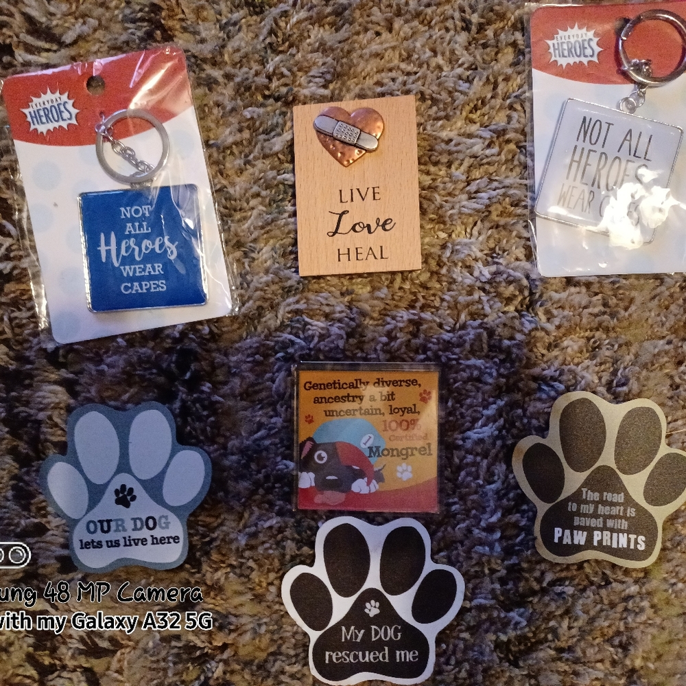 PET SUPPLIES FOR DOGS/CATS - Picture 3 of 13